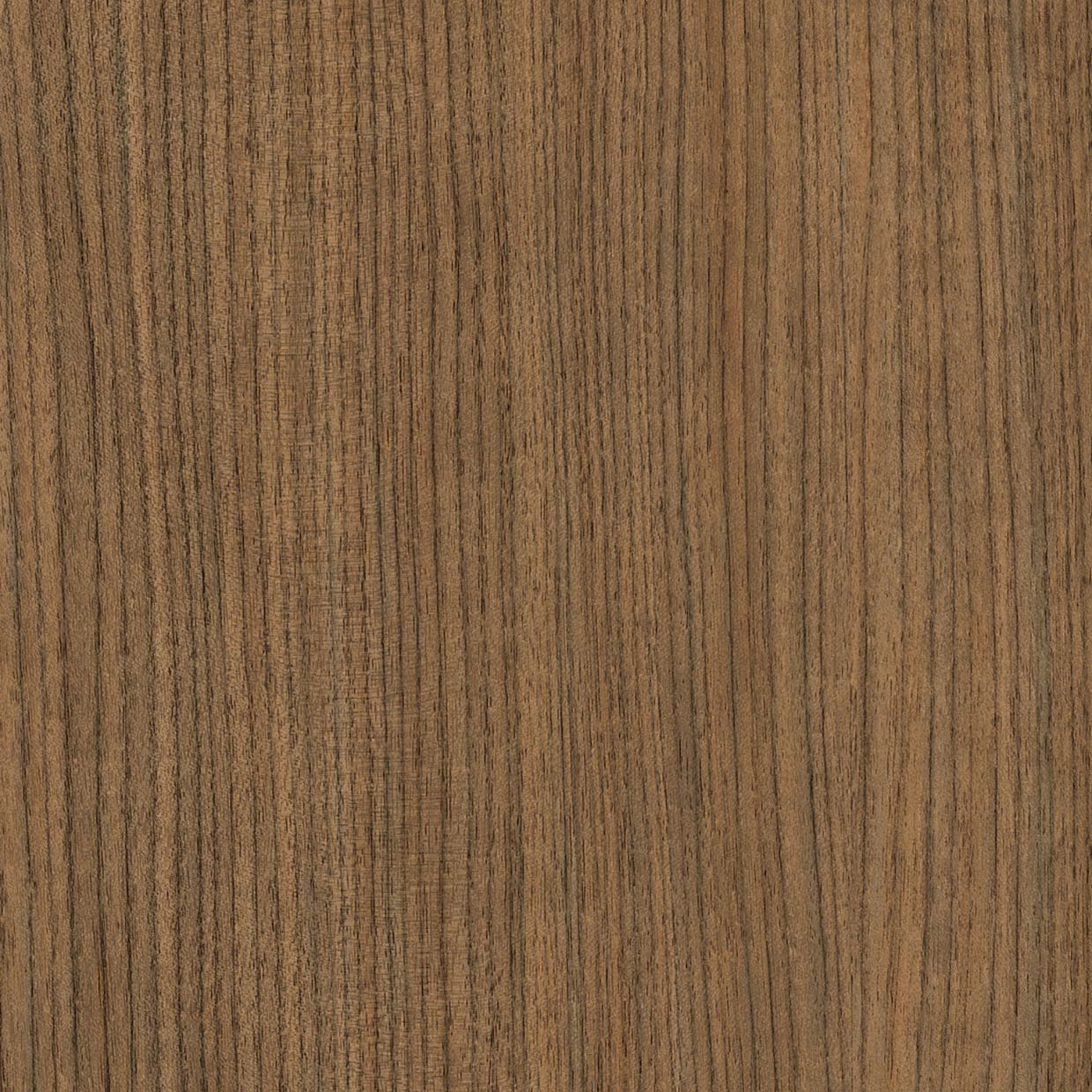 Hazelnut Cream - AF10